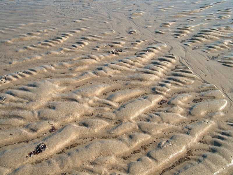 Zen Garden